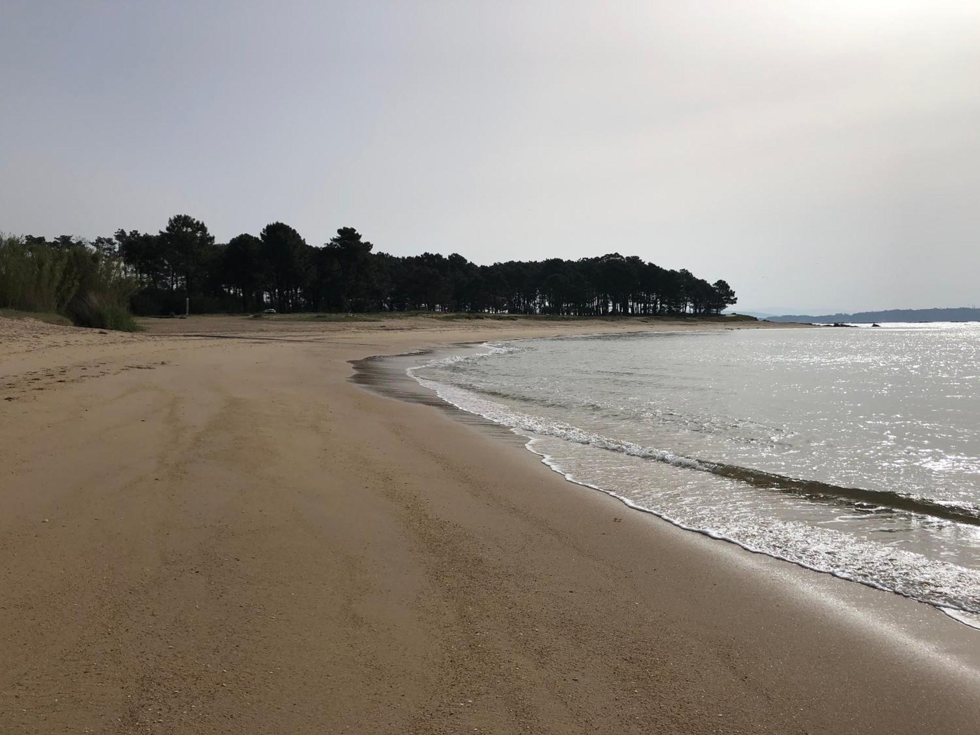 Apartamento Playa Da Corna Palmeira 外观 照片